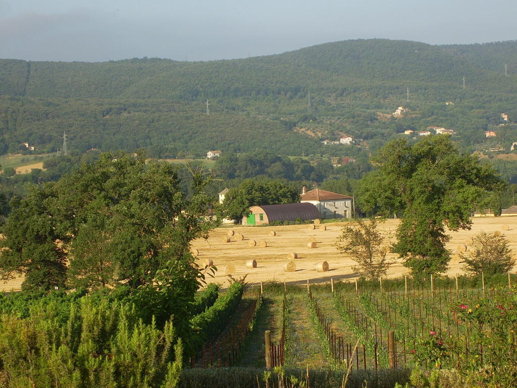 Agriturismo Regno Verde นาร์นี ภายนอก รูปภาพ
