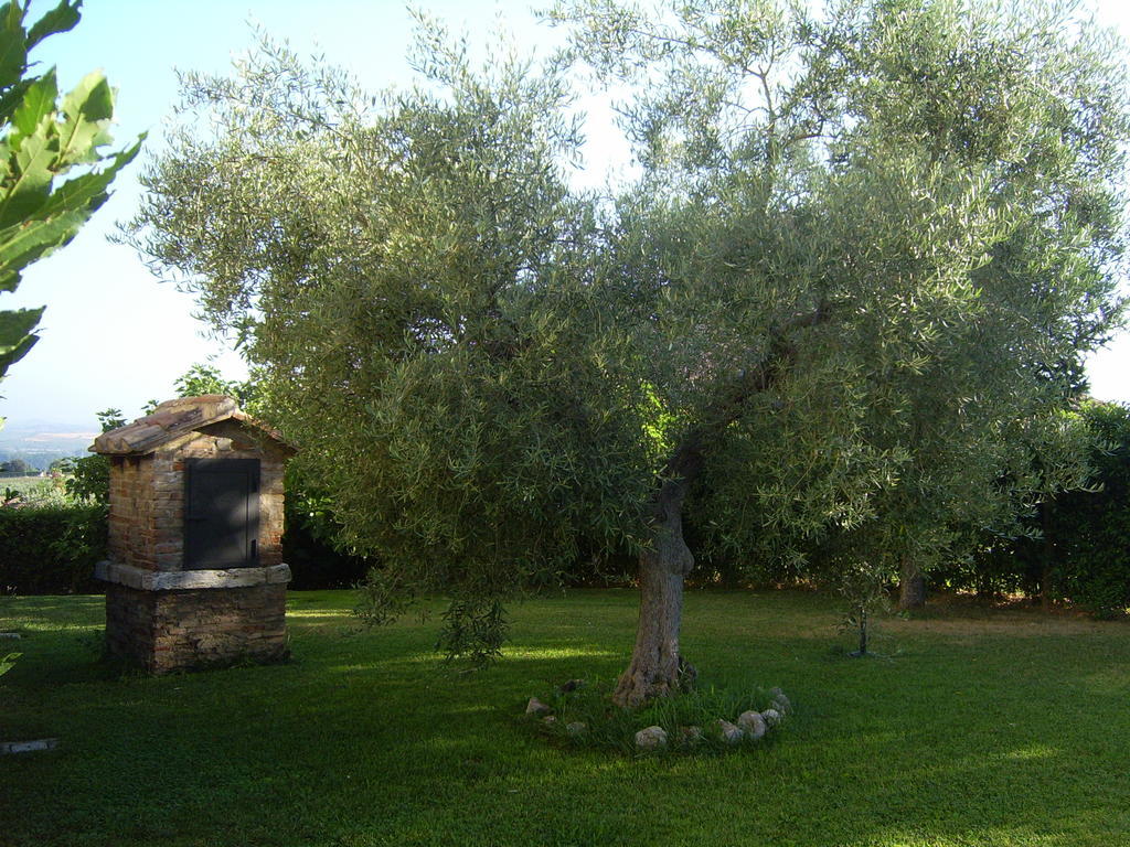 Agriturismo Regno Verde นาร์นี ภายนอก รูปภาพ