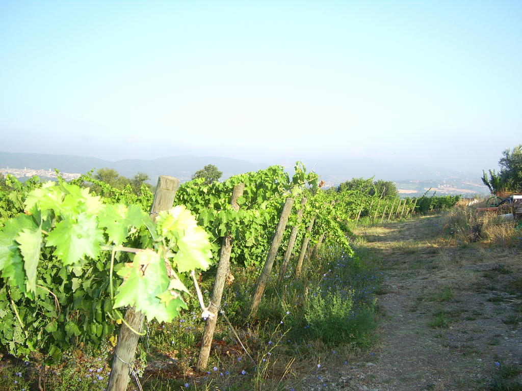 Agriturismo Regno Verde นาร์นี ภายนอก รูปภาพ