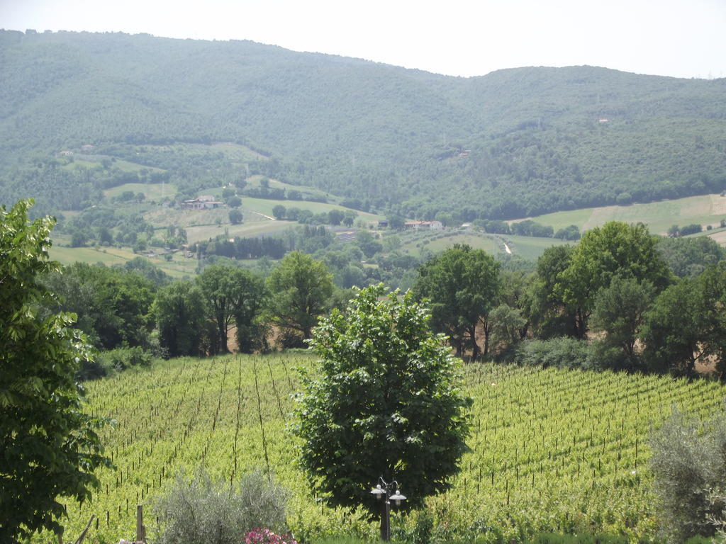 Agriturismo Regno Verde นาร์นี ภายนอก รูปภาพ